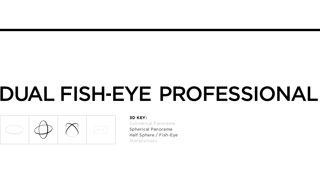 pro professional fisheye fish eye 3D cameras