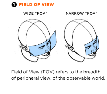 Field of View Explained